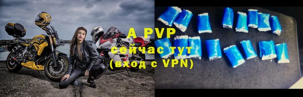 2c-b Бородино