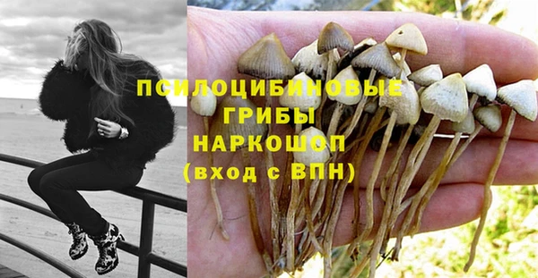 тгк Бронницы